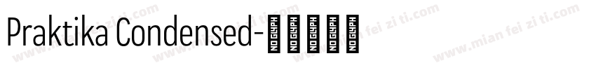 Praktika Condensed字体转换